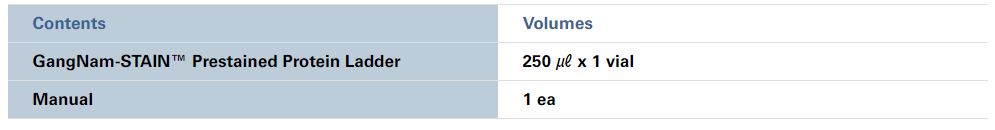 GangNam STAIN Prestained Protein Ladder