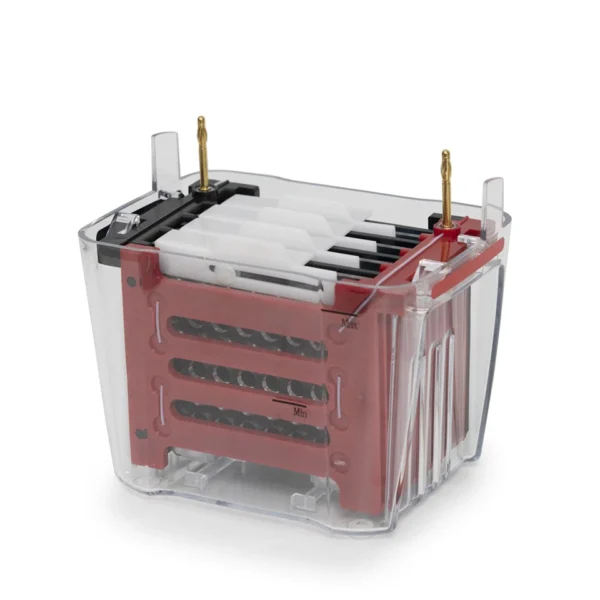 Sistema de electroforesis de transferencia de 4 membranas para Bio-Rad